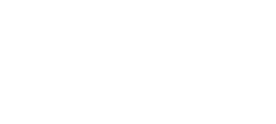 Alcon Systems